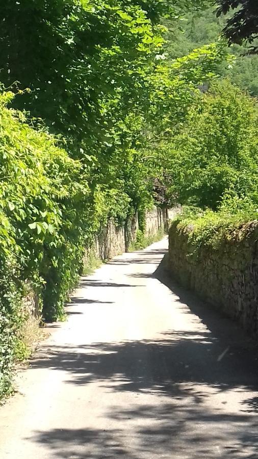 Gite 4 Personnes Au Calme Et Tout Confort Saint-Vallier  外观 照片